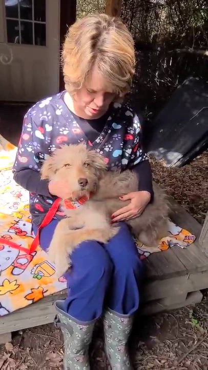 Enlarge Margaux, an adopted mixed breed in Woolwich, ME video 4/4