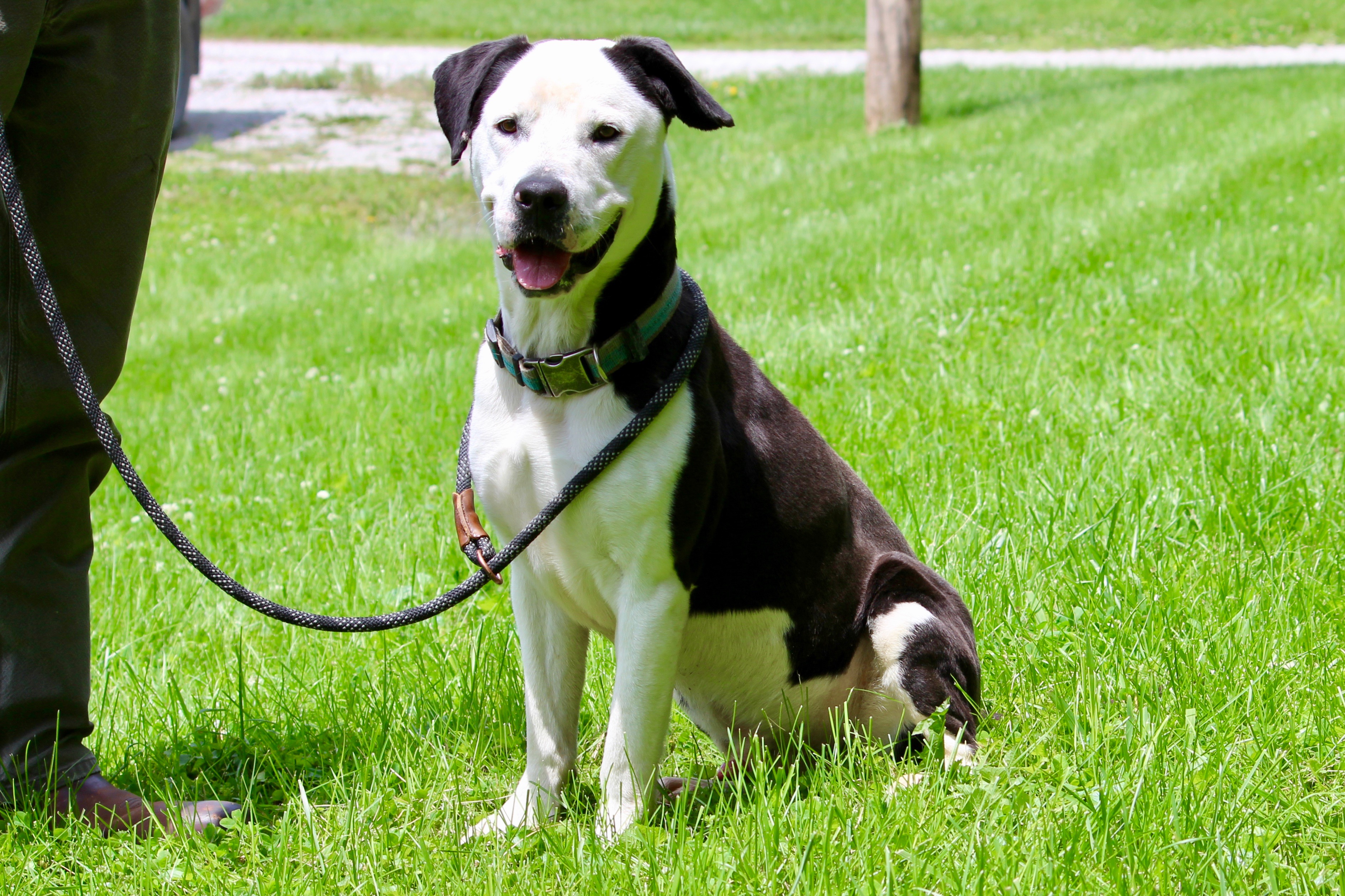 BULLET — thumbnail 2