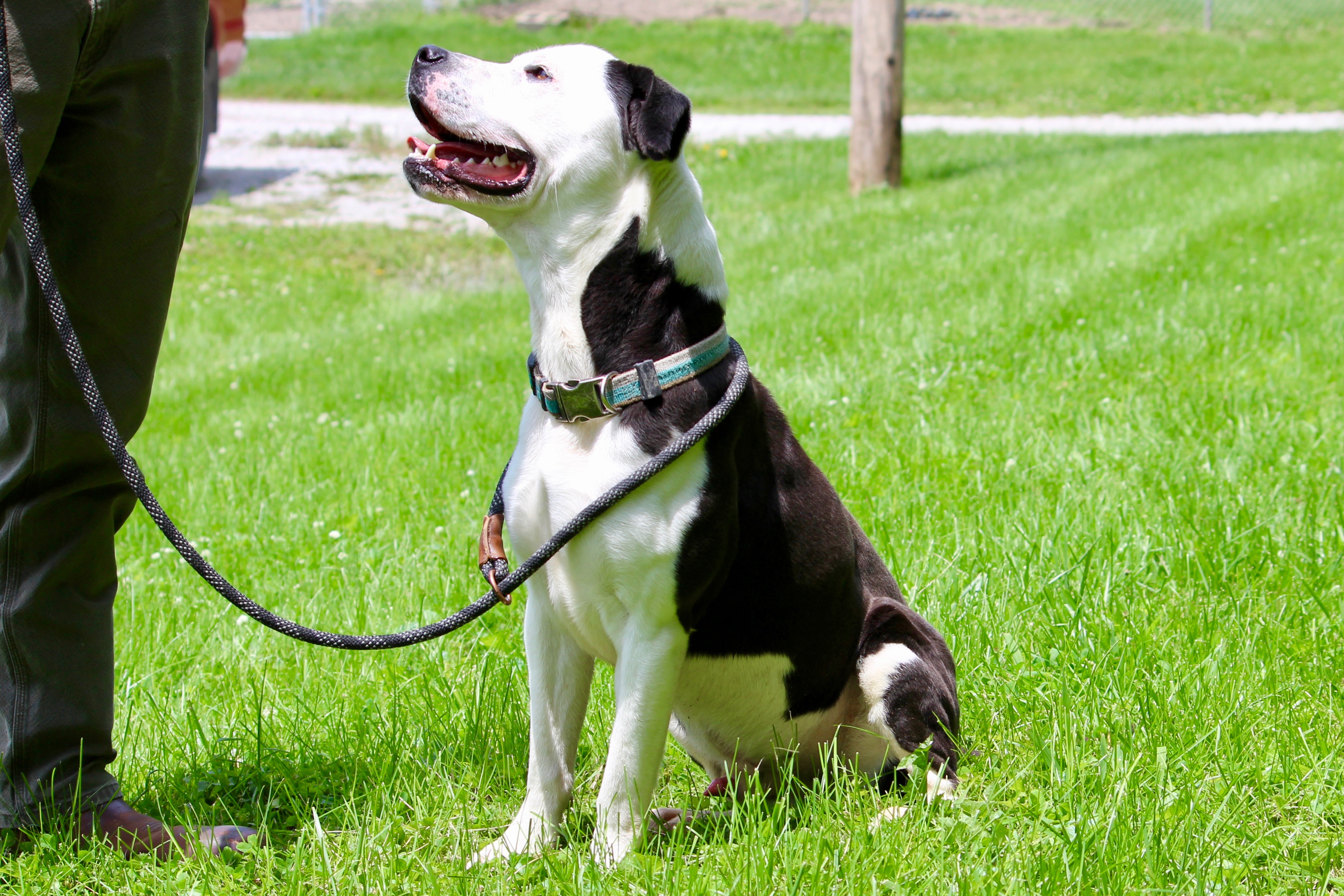 BULLET — thumbnail 3