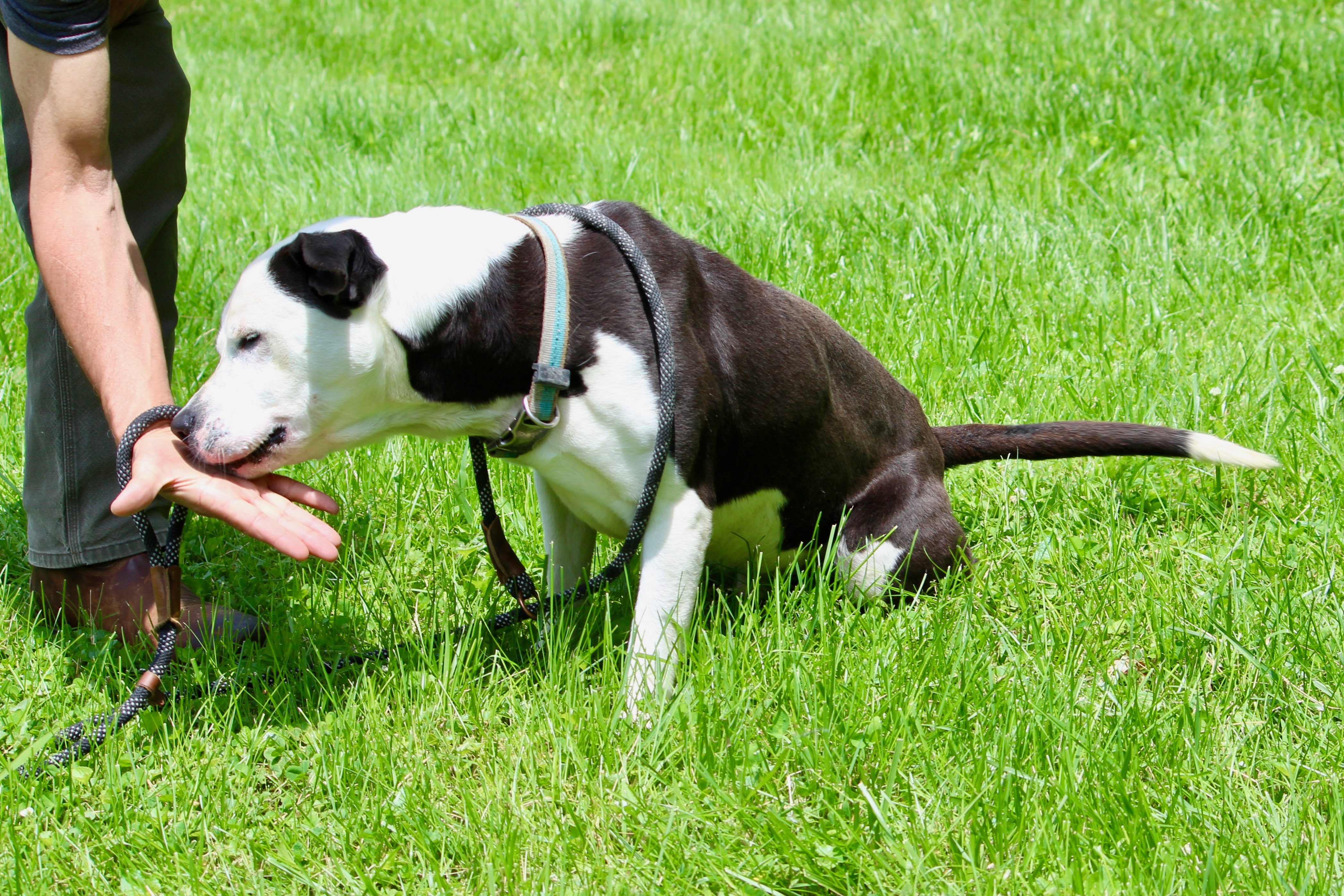 BULLET — thumbnail 5