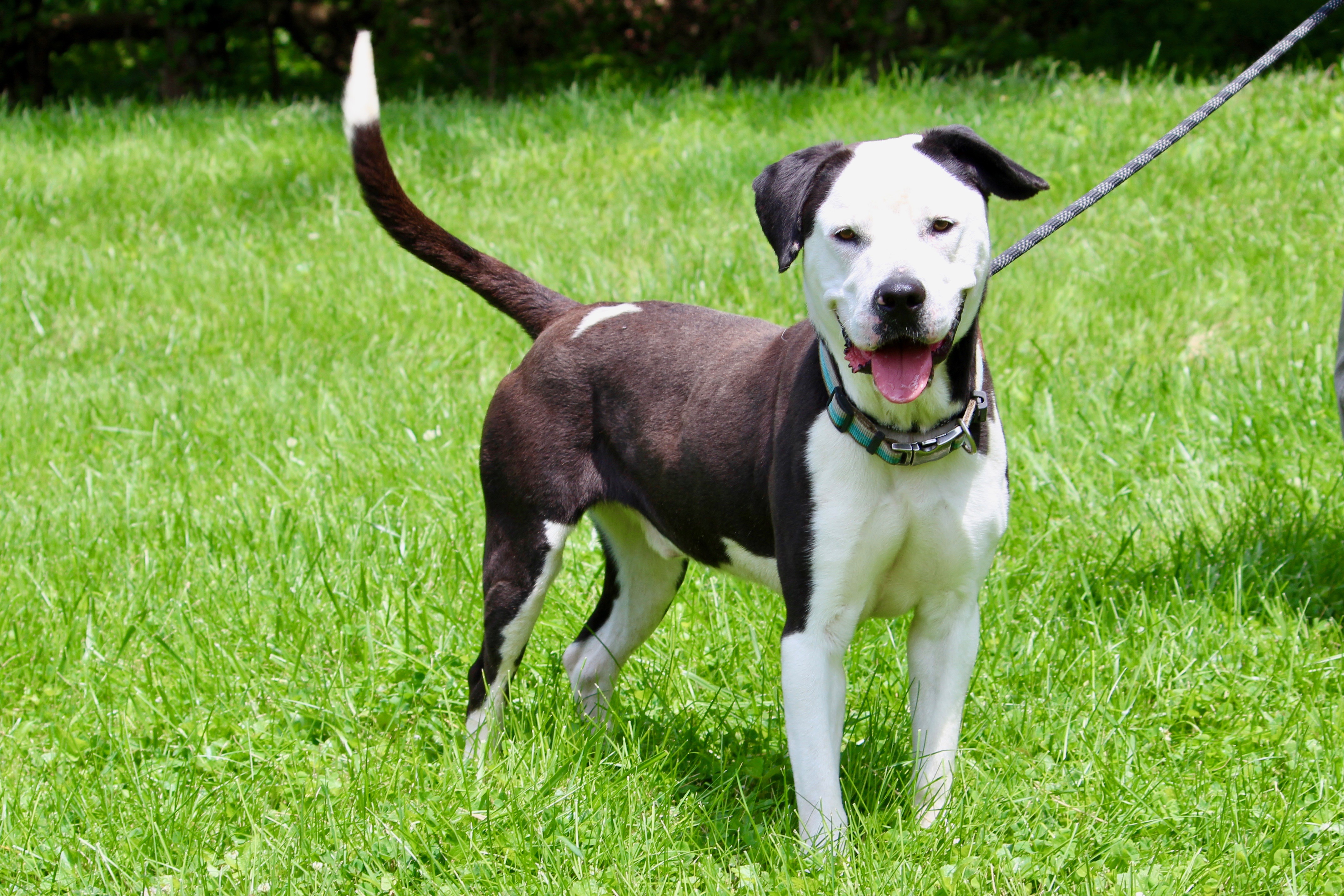 BULLET — thumbnail 6