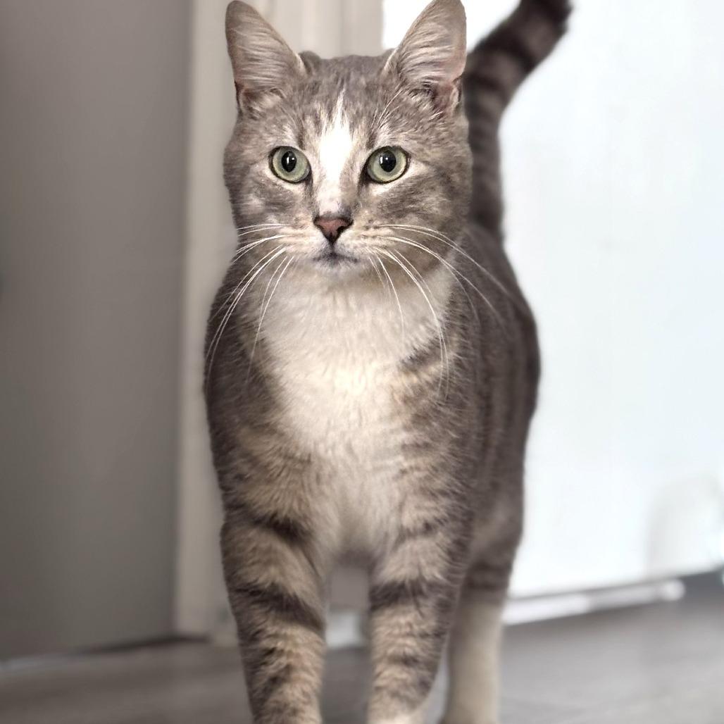 Watson — thumbnail 2