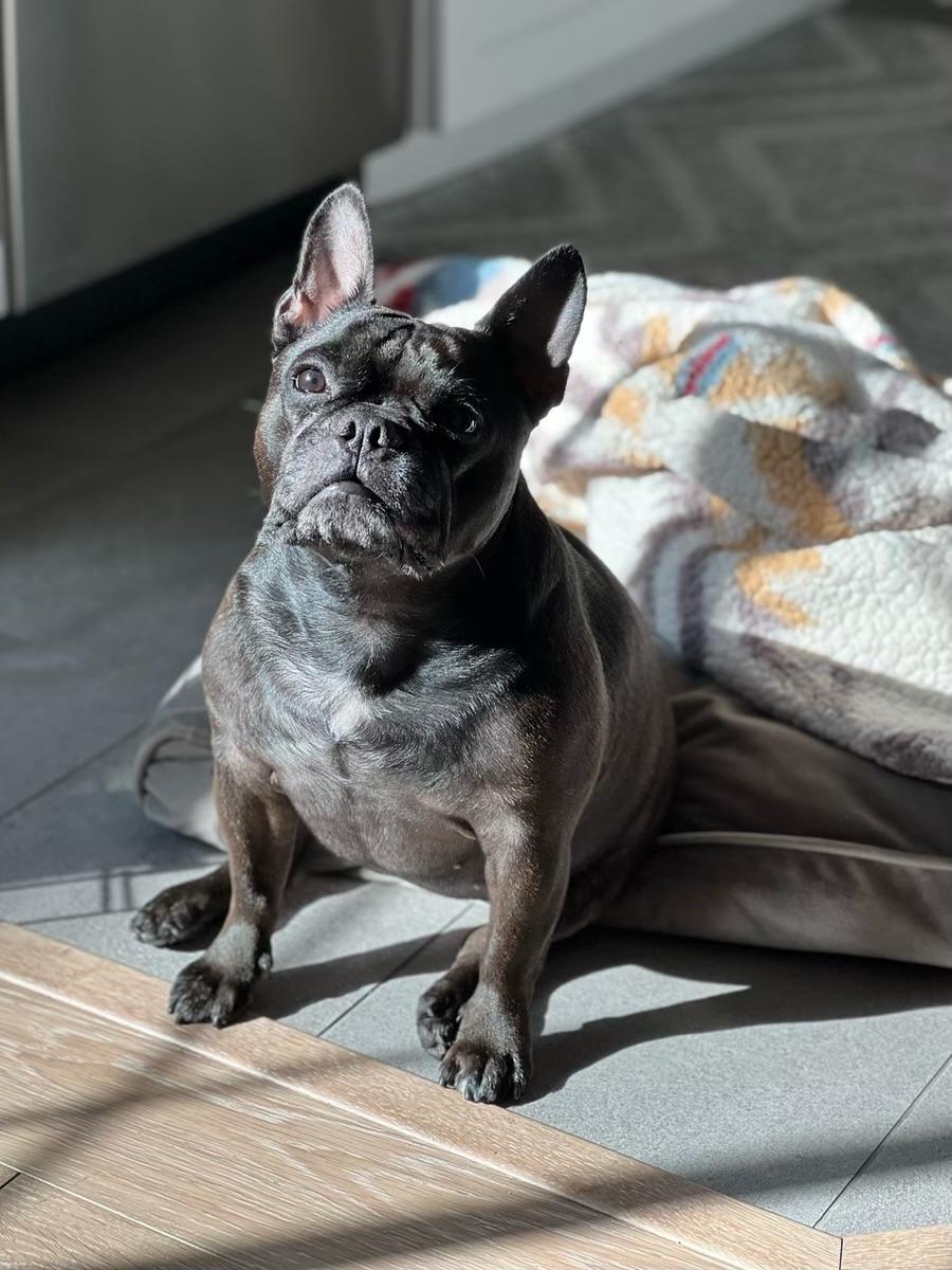 Luna