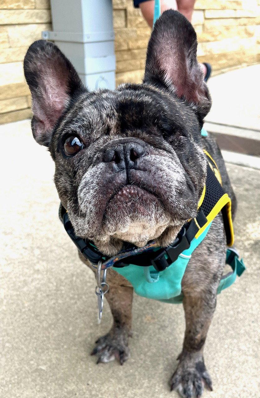 Bonnie photo