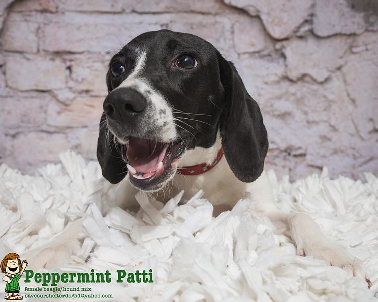 Peppermint Patty