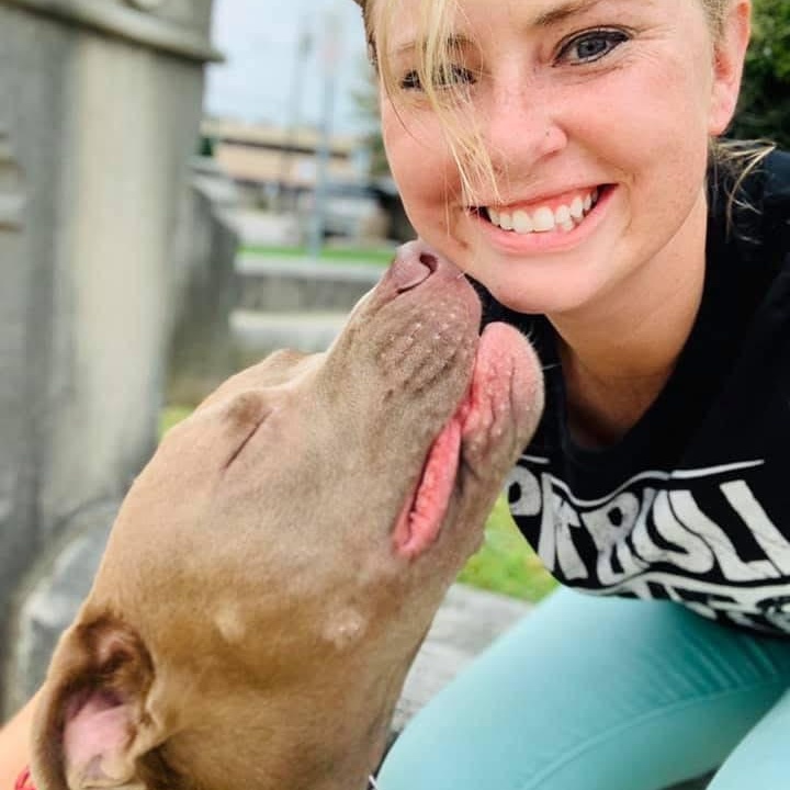 Enlarge Justice, a Adoptable mixed breed in Florence, KY image 2/5