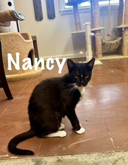Nancy