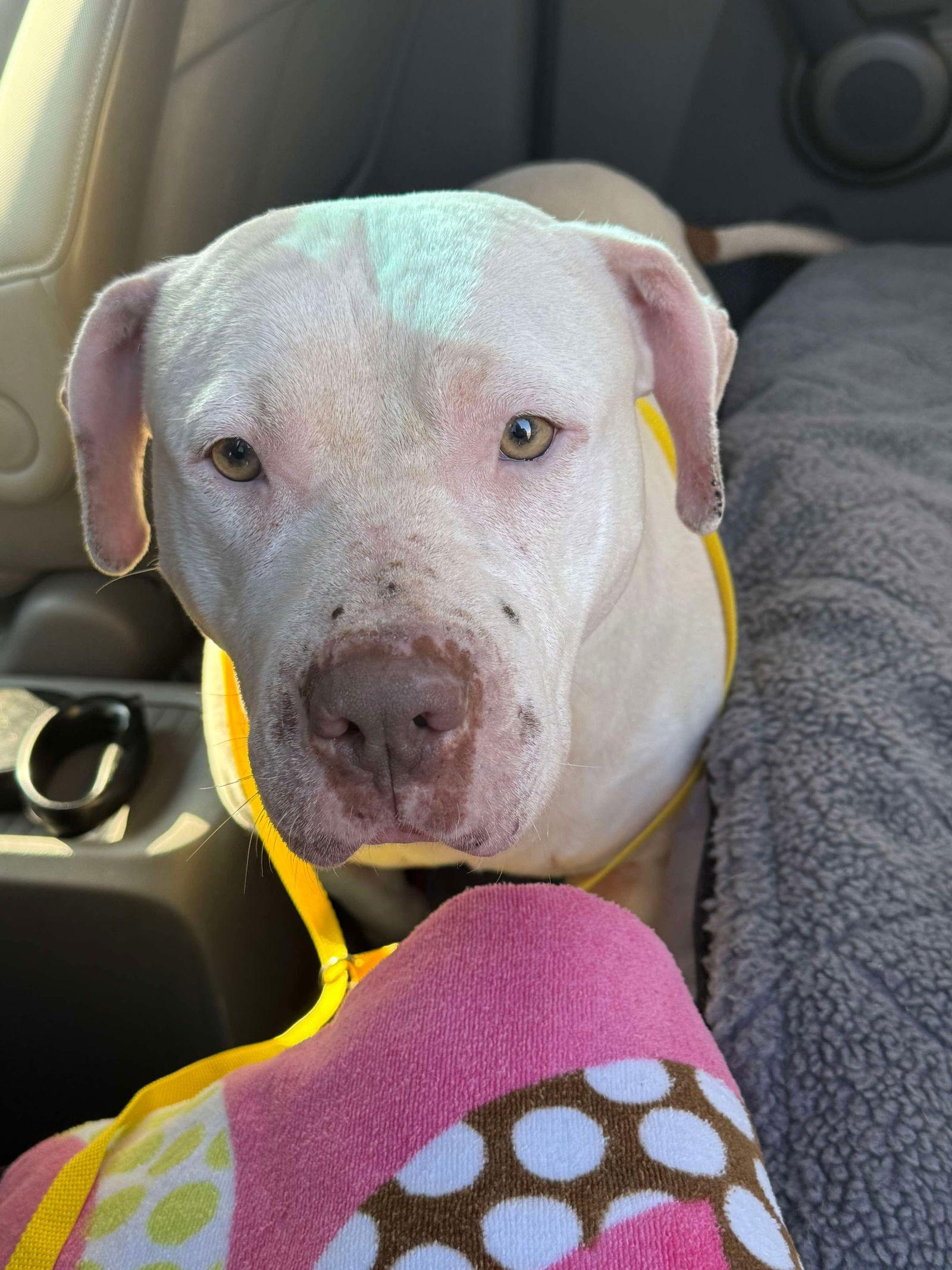 Sadie Mae thumbnail 2