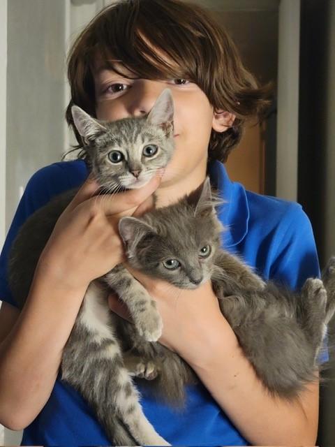 Enlarge Jupiter, an adopted mixed breed in Mesa, AZ image 3/5