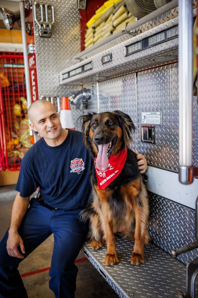 Enlarge Daisy Ann - Foster or Adopt Me!, a Adoptable mixed breed in Lake Forest, CA image 3/6