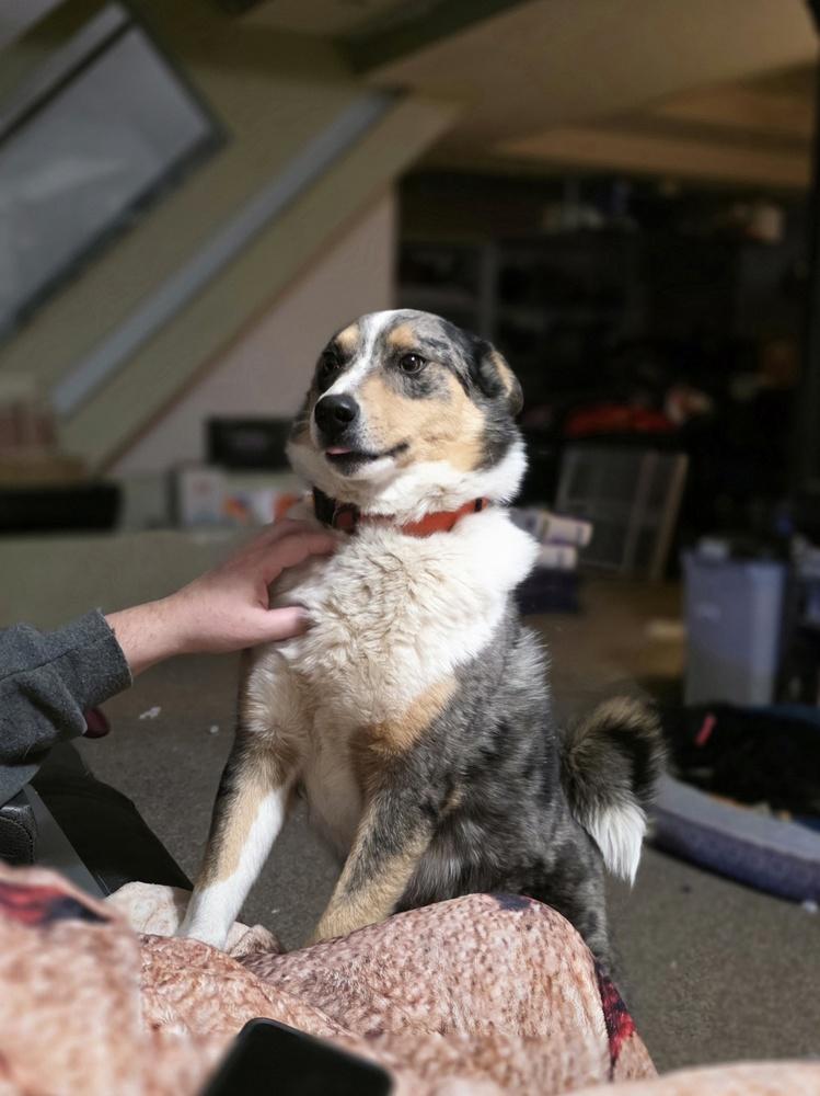 Max A Damon thumbnail 2