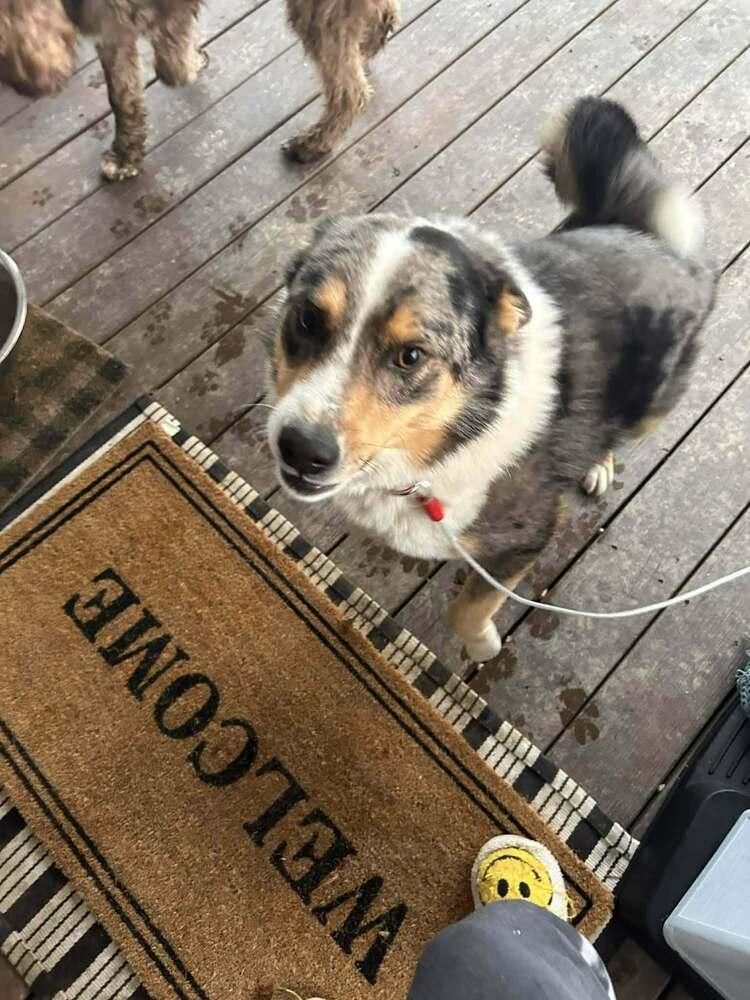 Max A Damon thumbnail 4