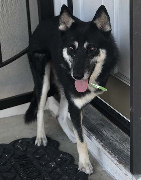 Lancer photo 2