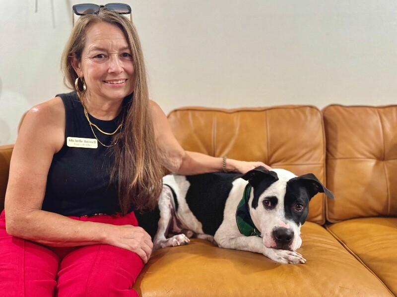 Panda the perfect doggy pal — thumbnail 3