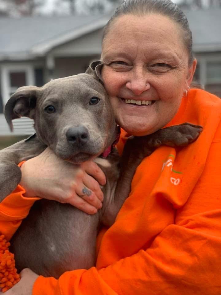 Enlarge Turbo , an adopted mixed breed in Douglas, MA image 6/6