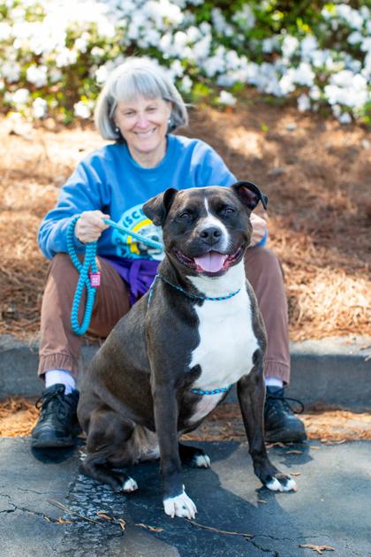 Enlarge K Roger (Foster), a Adoptable Mixed Breed in Atlanta, GA image 3/3
