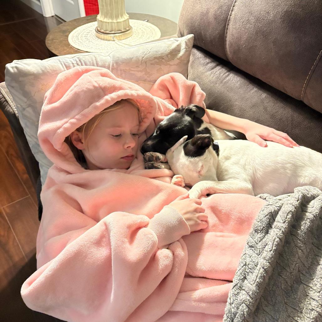 Enlarge TIA, a Adoptable Terrier in Atco, NJ image 2/6