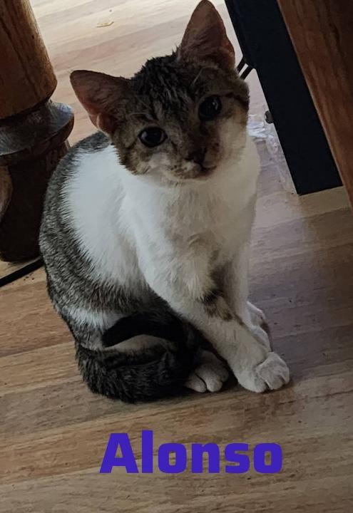 Alonso