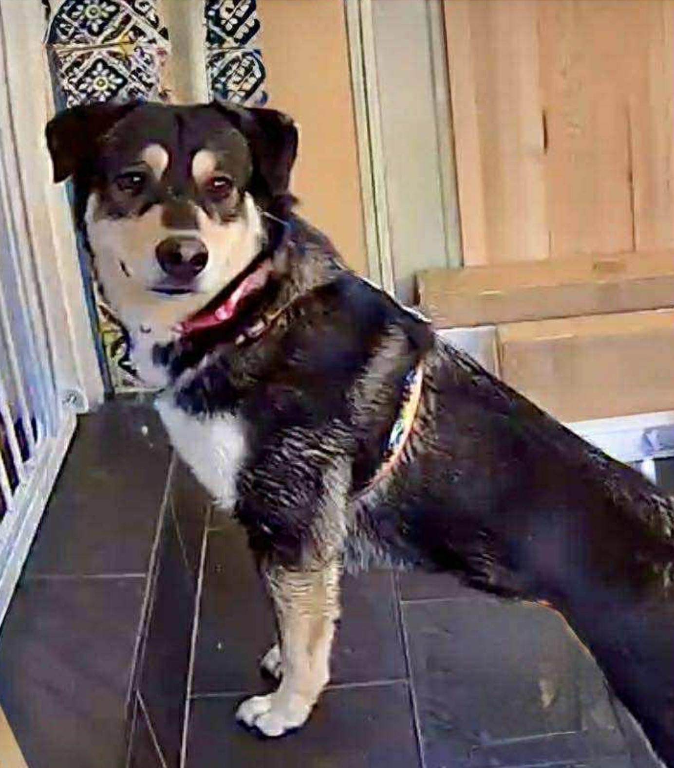 Mary — thumbnail 2