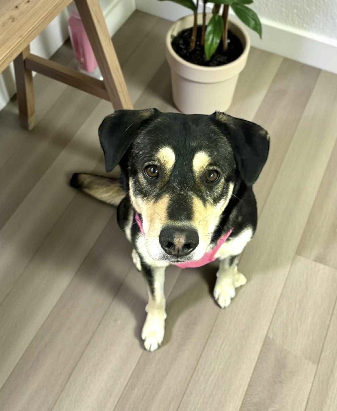 Mary — thumbnail 4