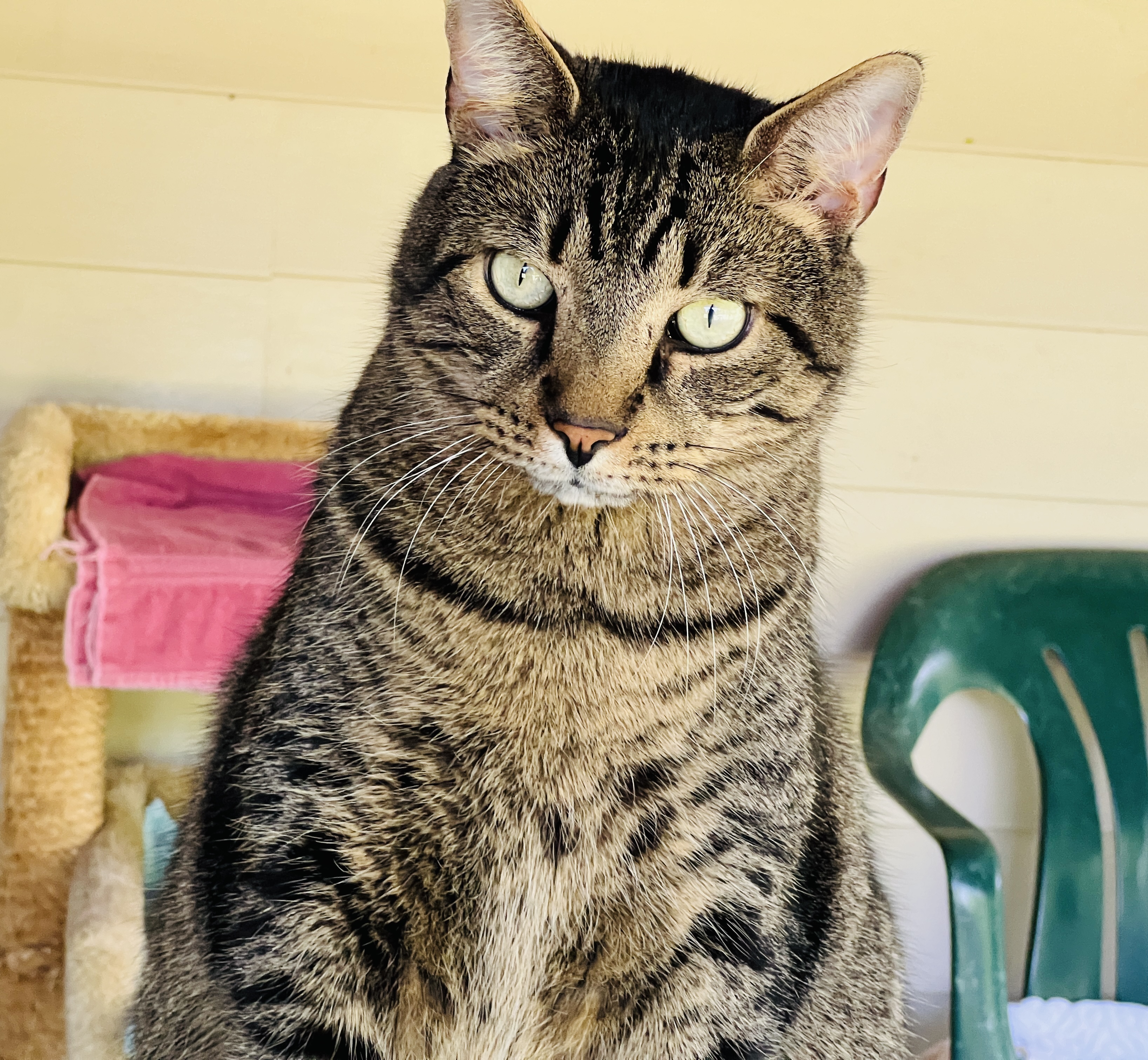 Jacques — thumbnail 2