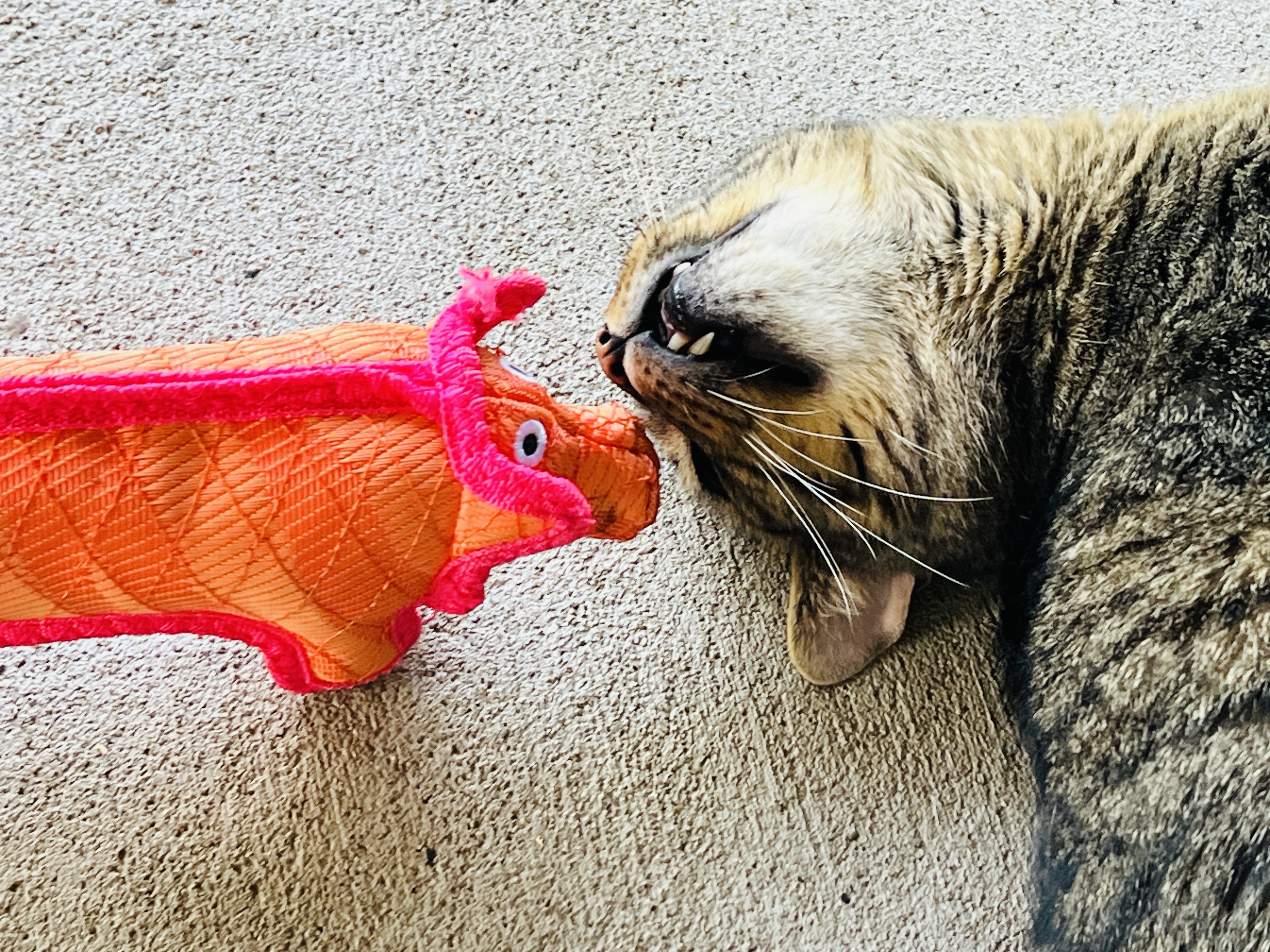 Jacques — thumbnail 3