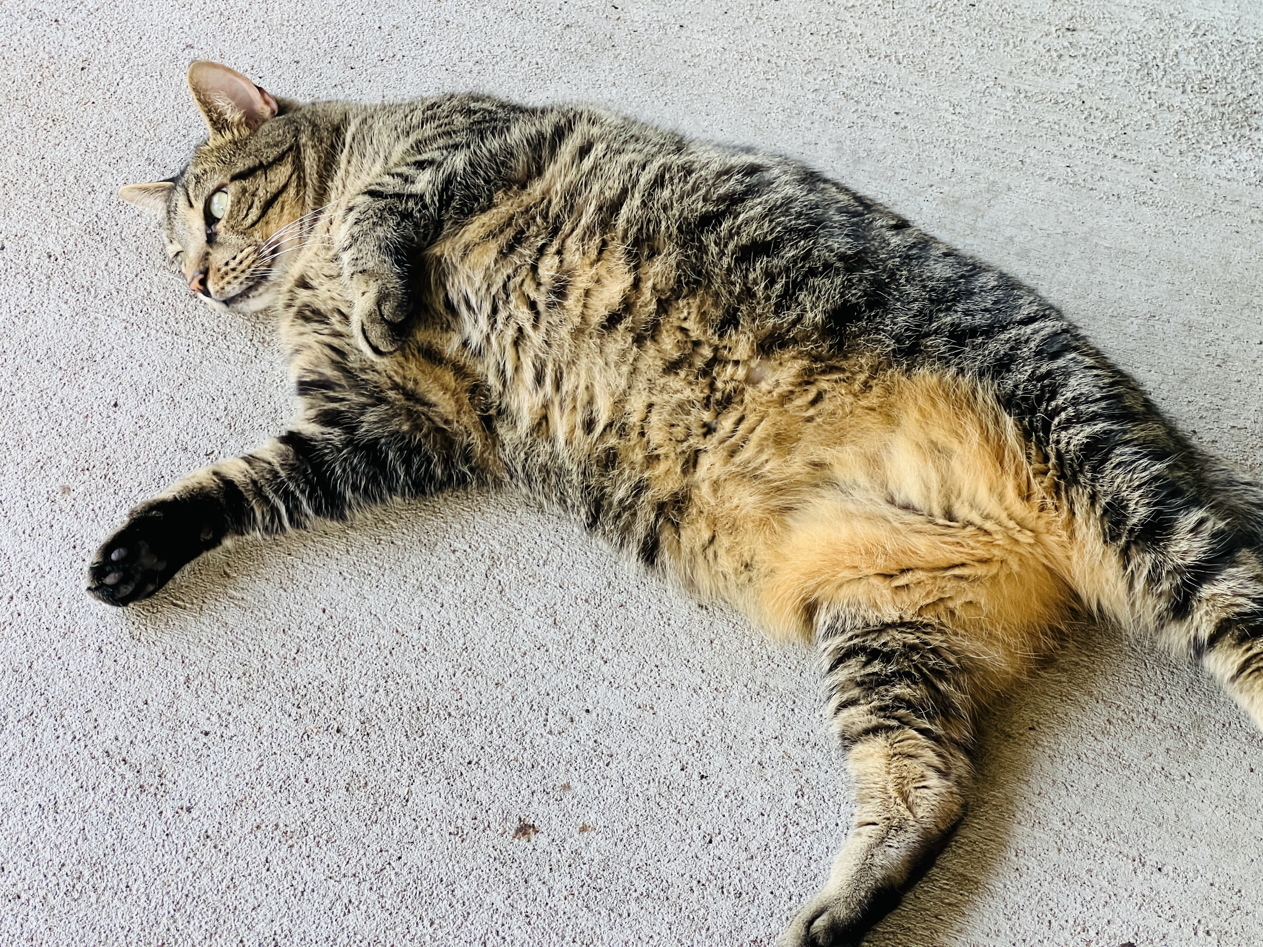 Jacques — thumbnail 5