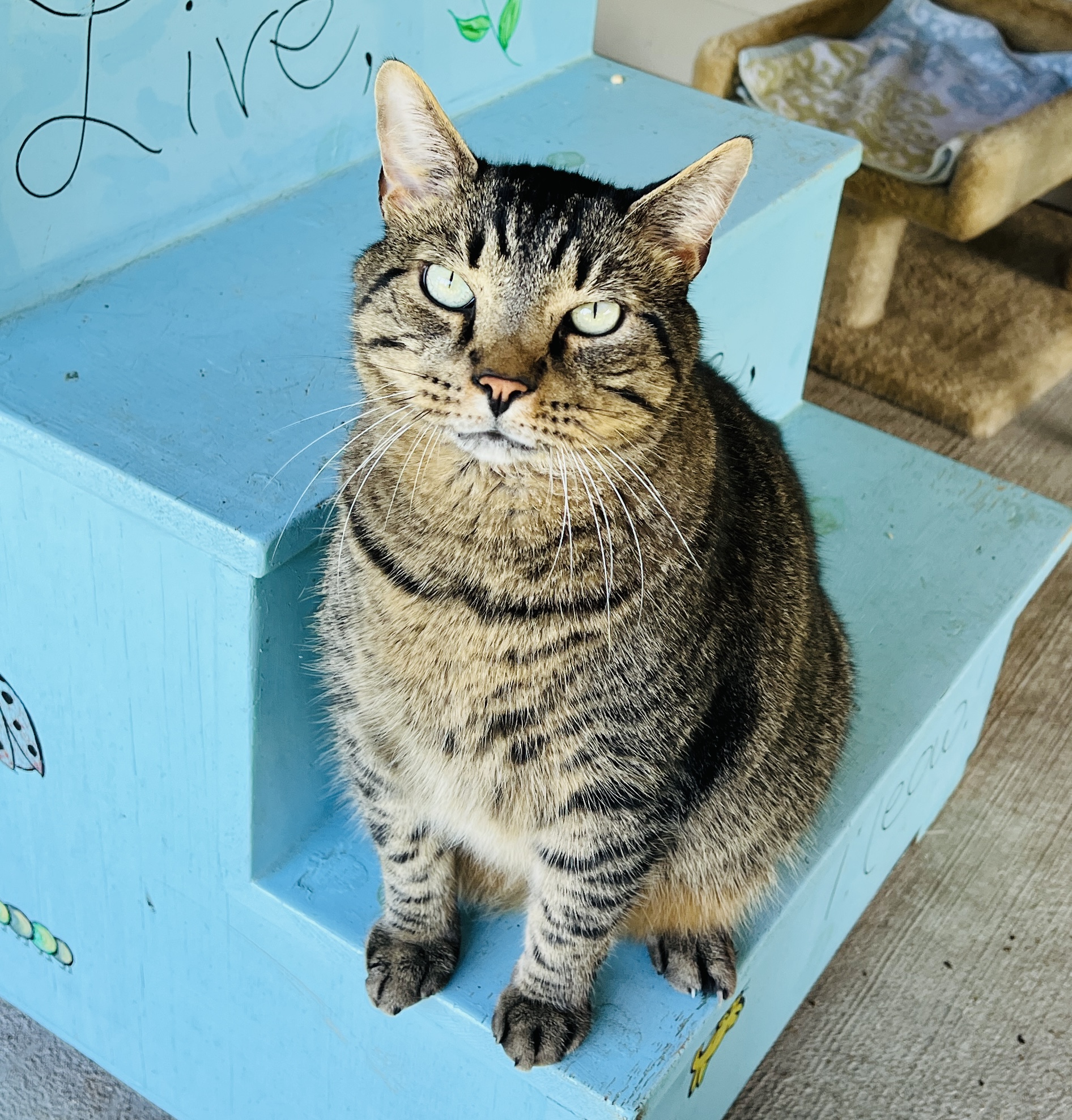 Jacques — thumbnail 6