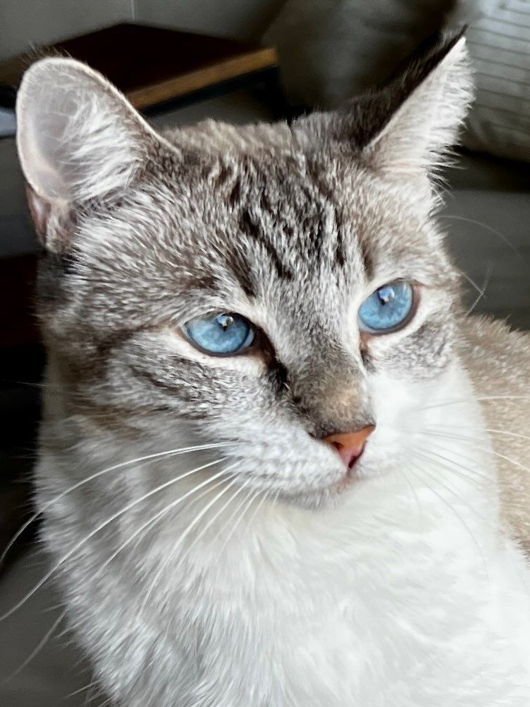 Skye Blue