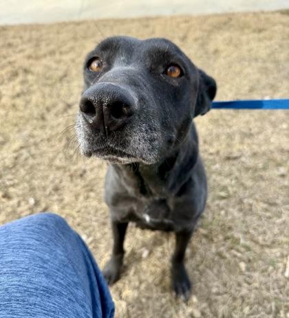 Winry — thumbnail 2