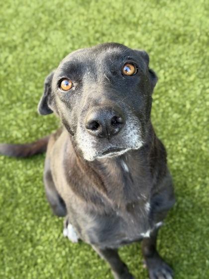 Winry — thumbnail 3