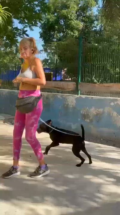 Enlarge Bimba, a ADOPTABLE mixed breed in New York, NY video 3/6
