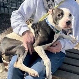 Shania — thumbnail 3