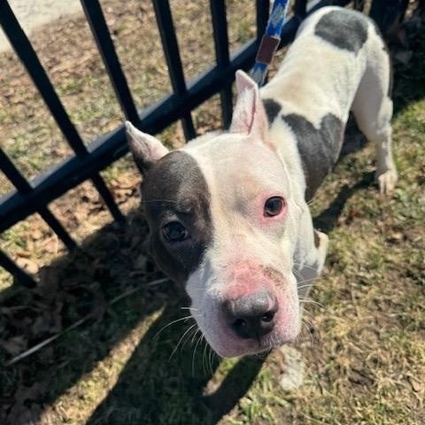 Shania — thumbnail 4