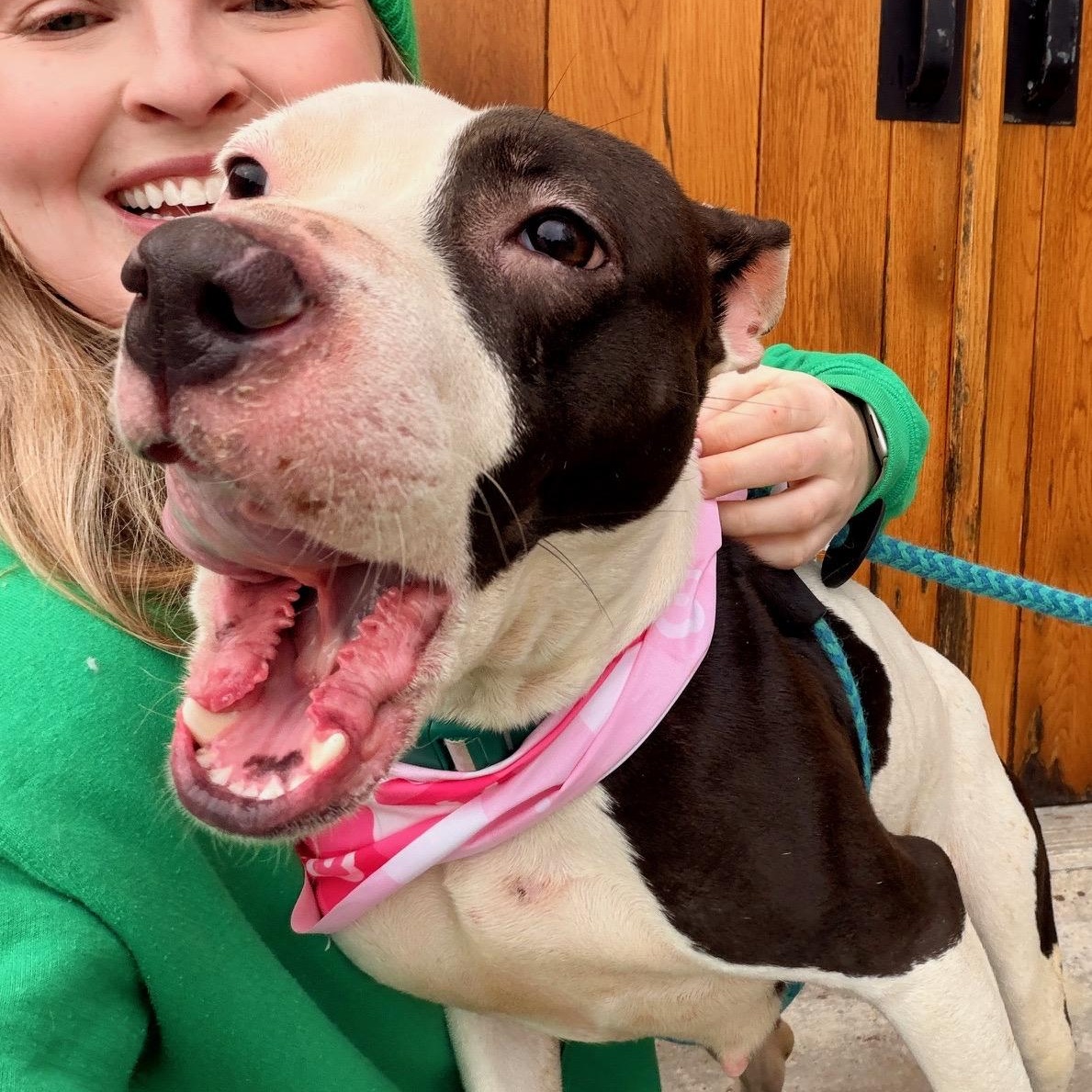 Shania — thumbnail 6