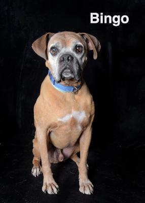 Bingo, Senior Male unknown