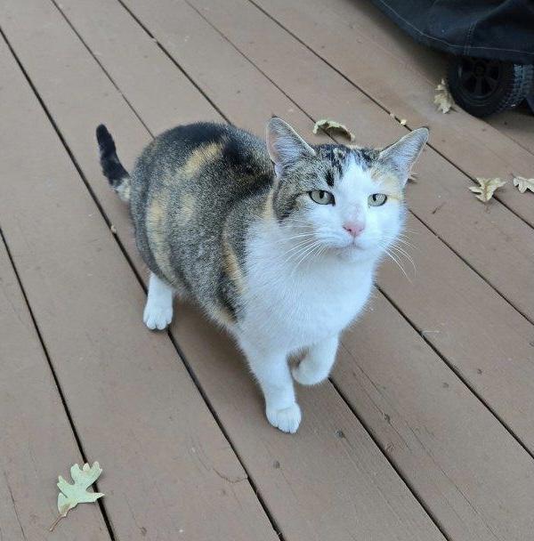 Mimi