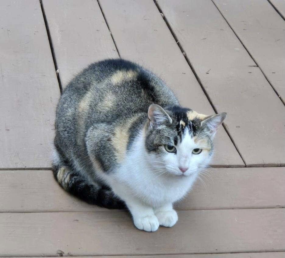 Mimi