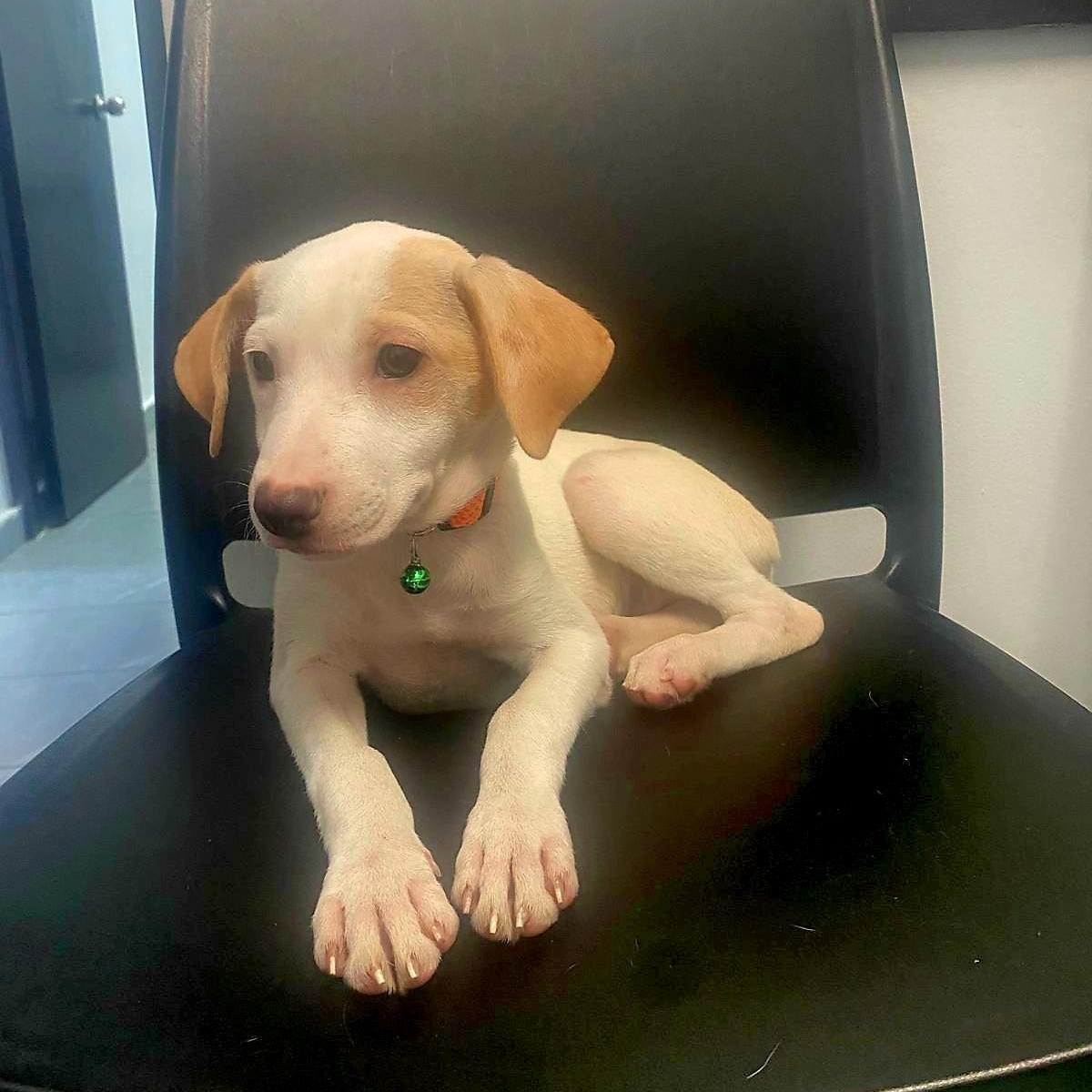 Tatiana "here I Wait." thumbnail 5