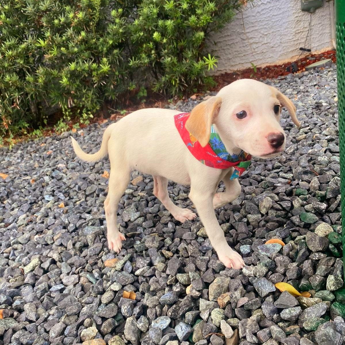 Tatiana "here I Wait." thumbnail 6