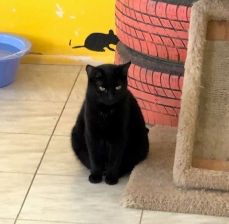 FREYA — thumbnail 3