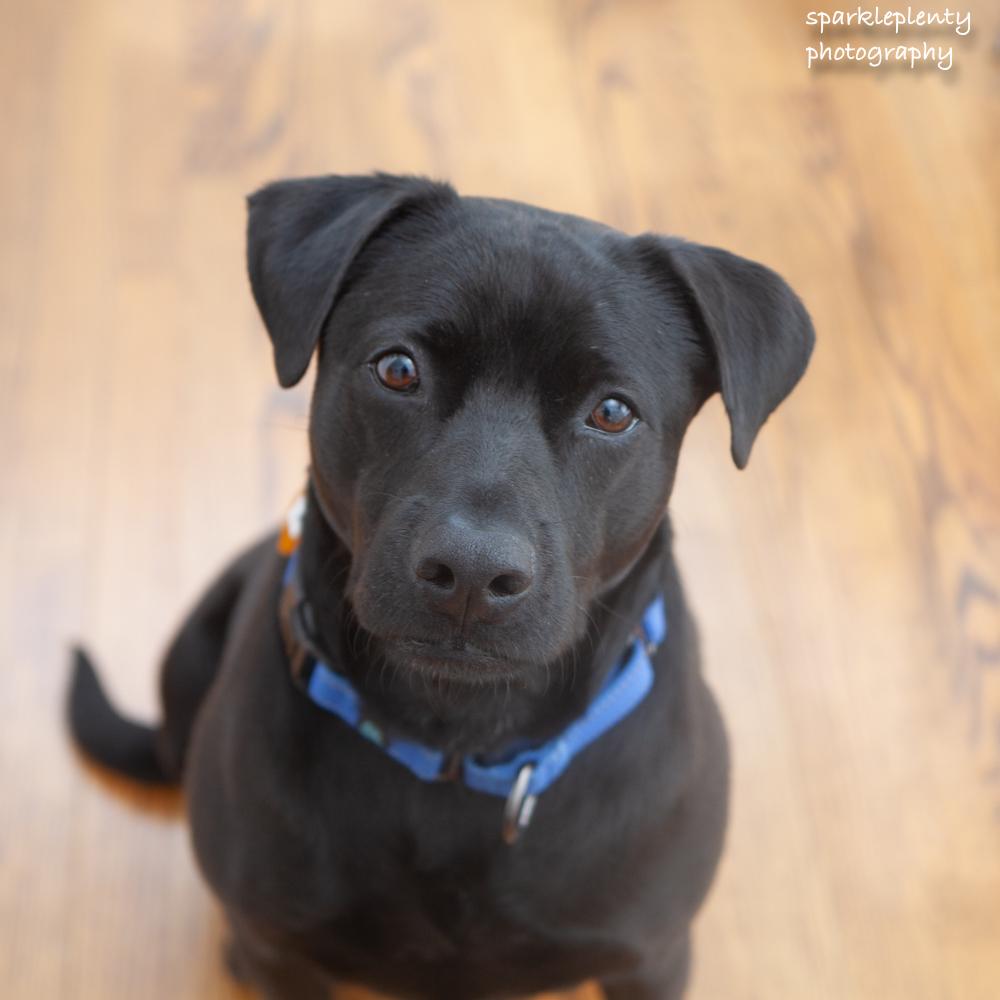 Max photo 1