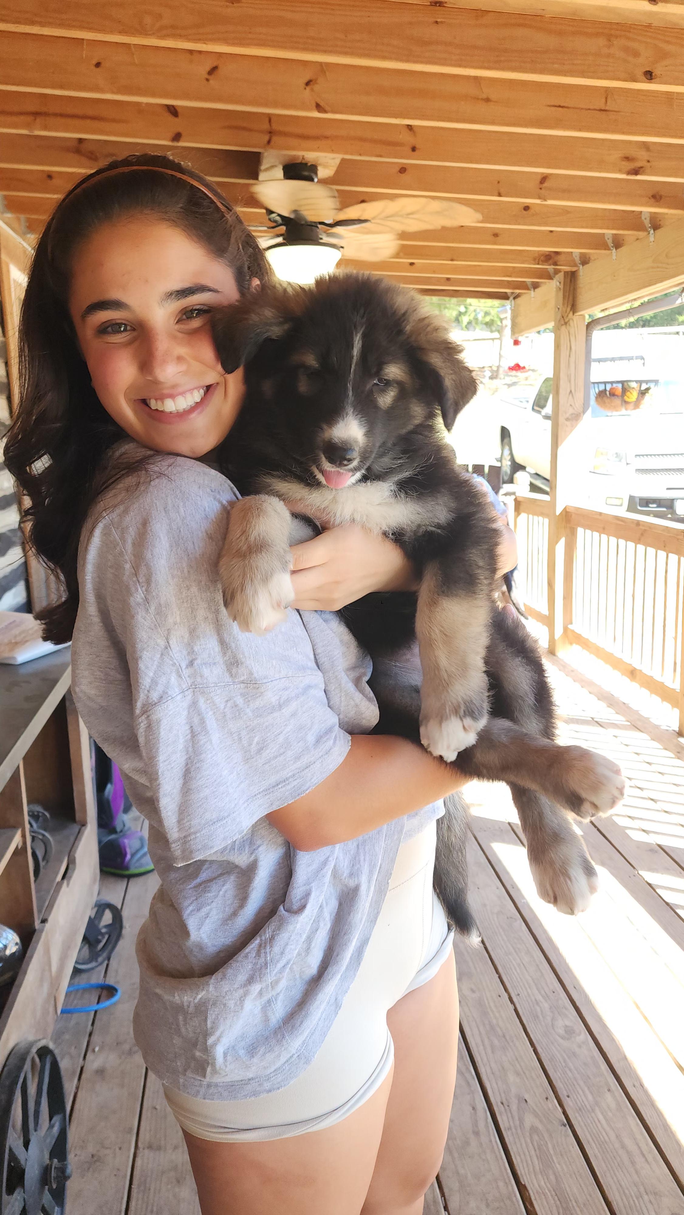 Enlarge Gidget, a Adopted mixed breed in Dittmer, MO image 2/5