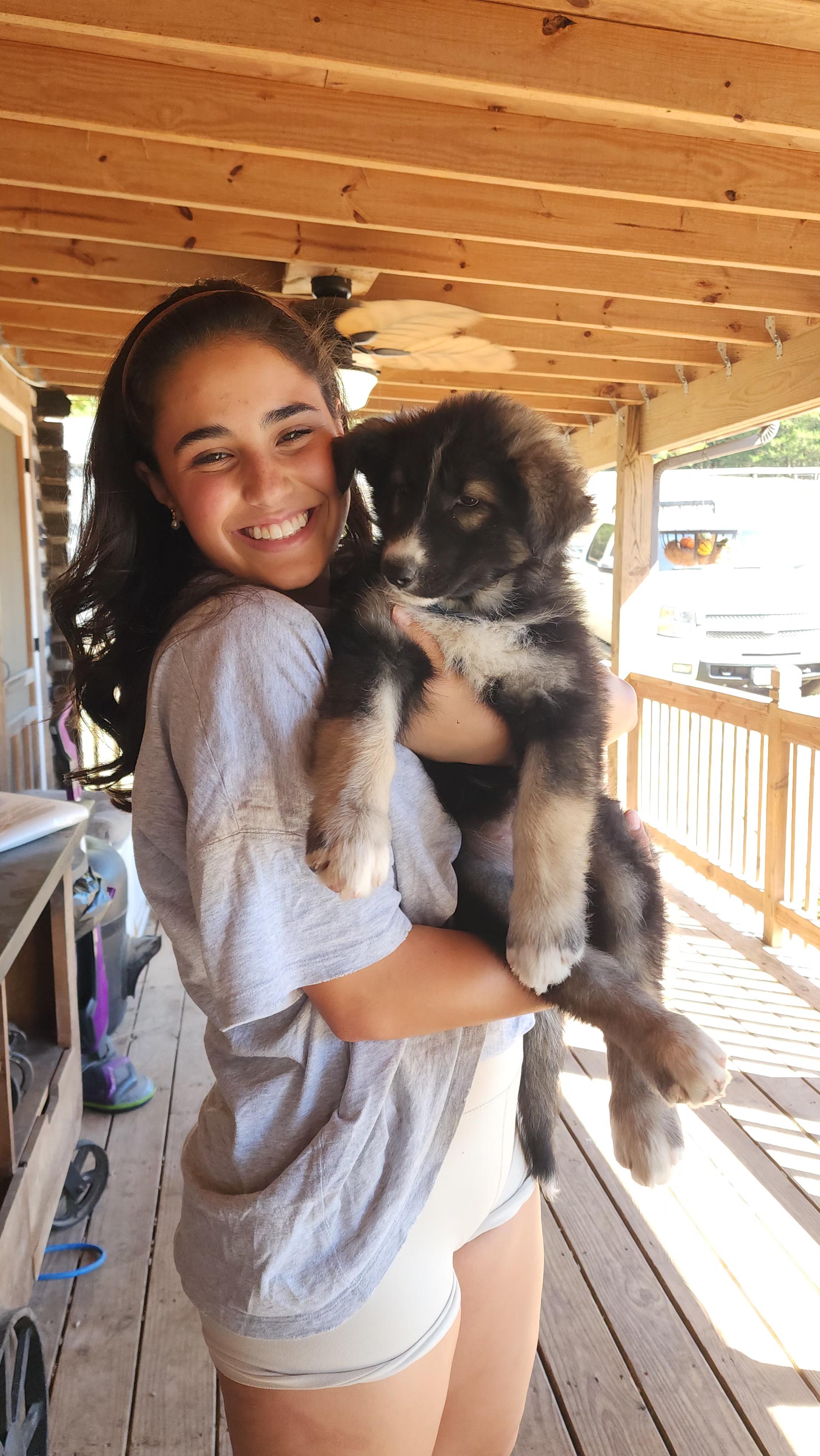 Enlarge Gidget, a Adopted mixed breed in Dittmer, MO image 4/5
