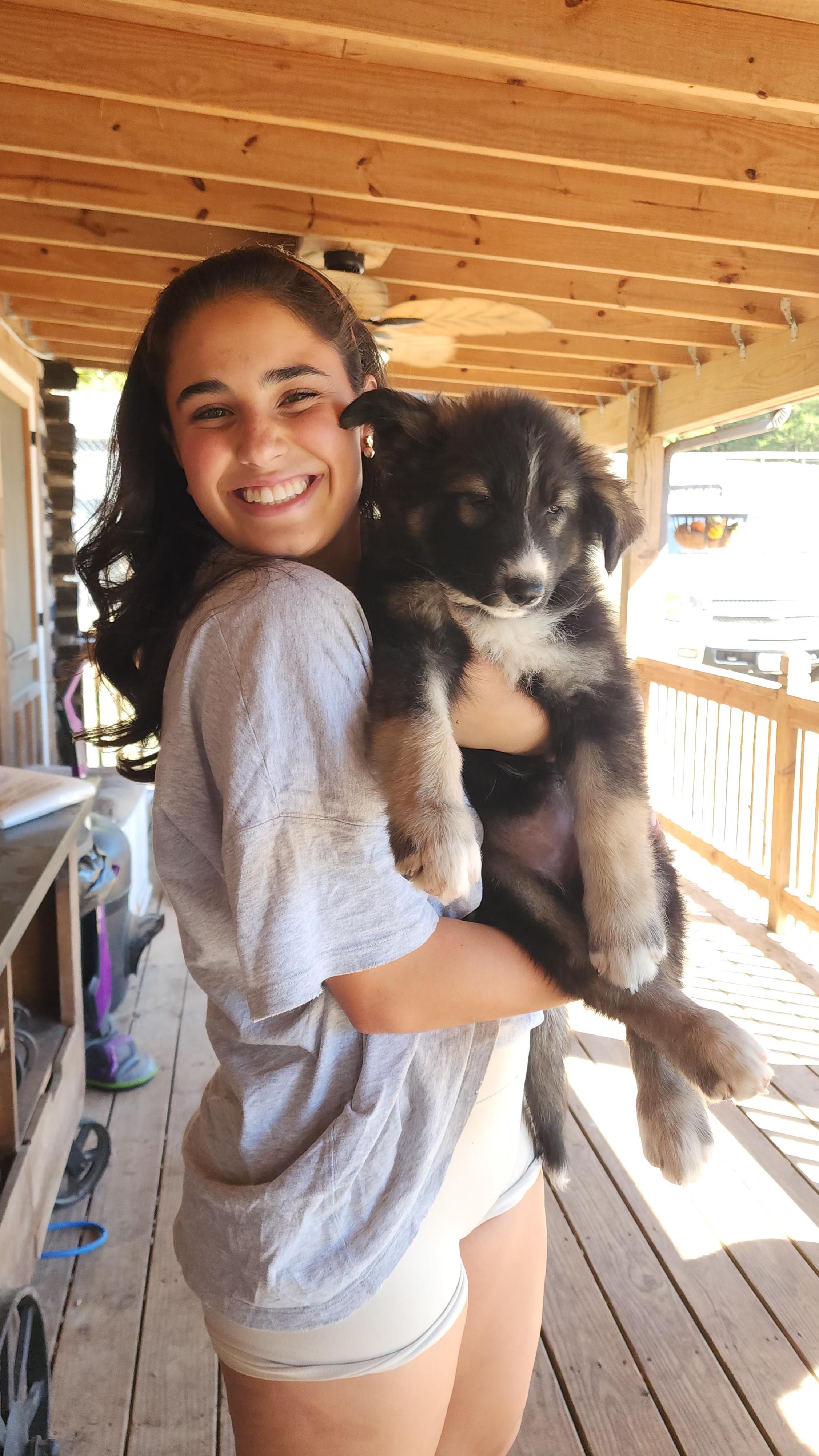 Enlarge Gidget, a Adopted mixed breed in Dittmer, MO image 5/5