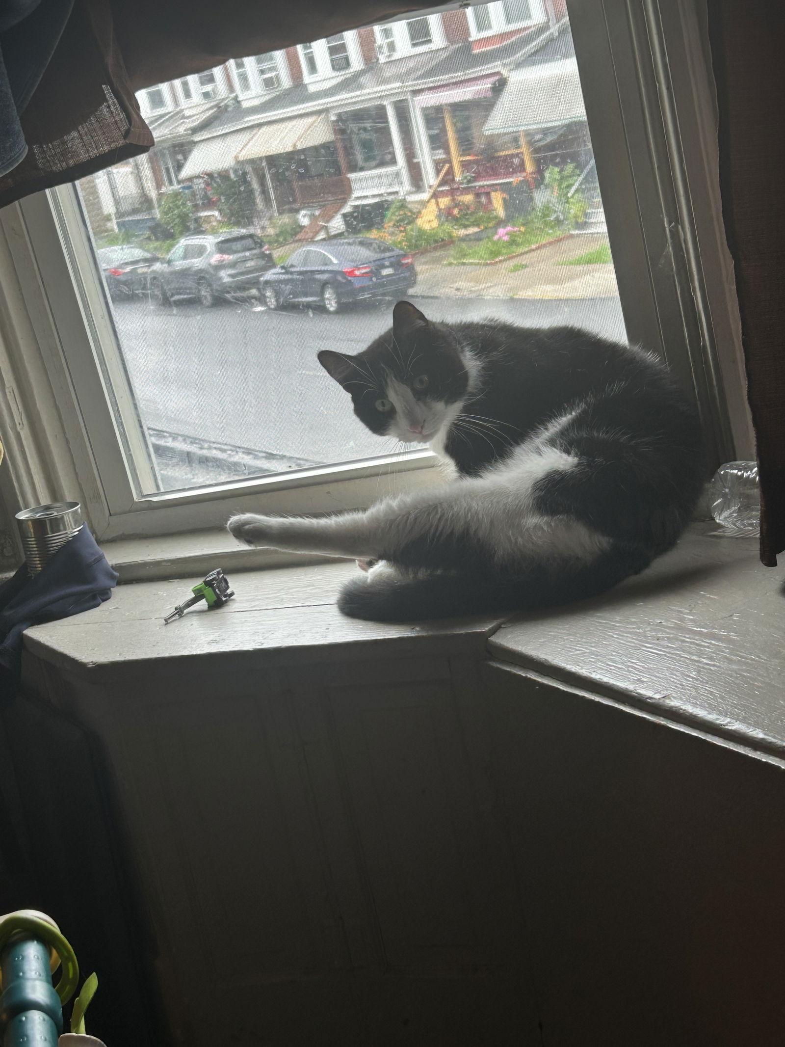 Tuxe* — thumbnail 2