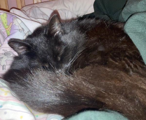 Tilda — thumbnail 2