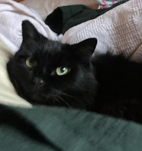 Tilda — thumbnail 3