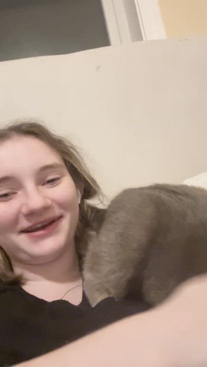 Enlarge Delta, a Adoptable Domestic Medium Hair in Chaska, MN video 6/6