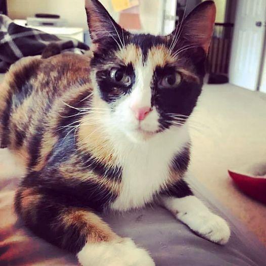 Mystiquebonded With Diego thumbnail 2